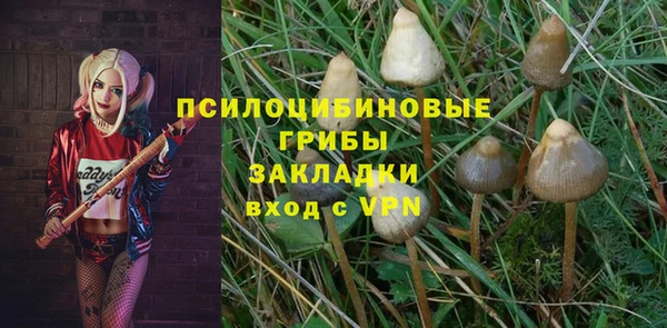 дмт Бронницы