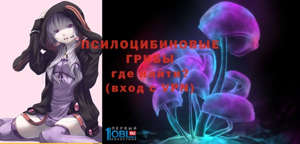 амф Верея